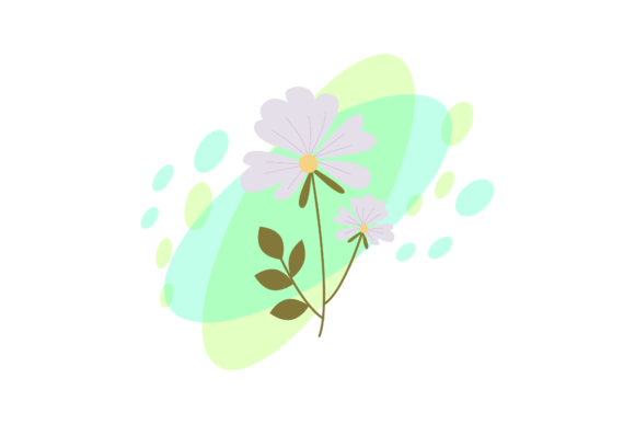 Floral Beauty Illustrations