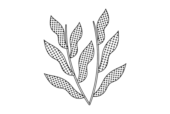 Floral Botanical Colorful Outline
