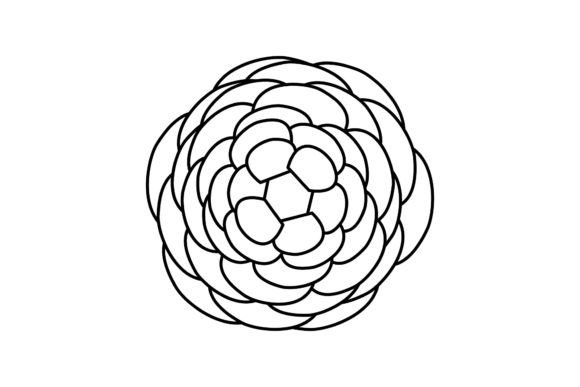 Floral Simple Rose Outline